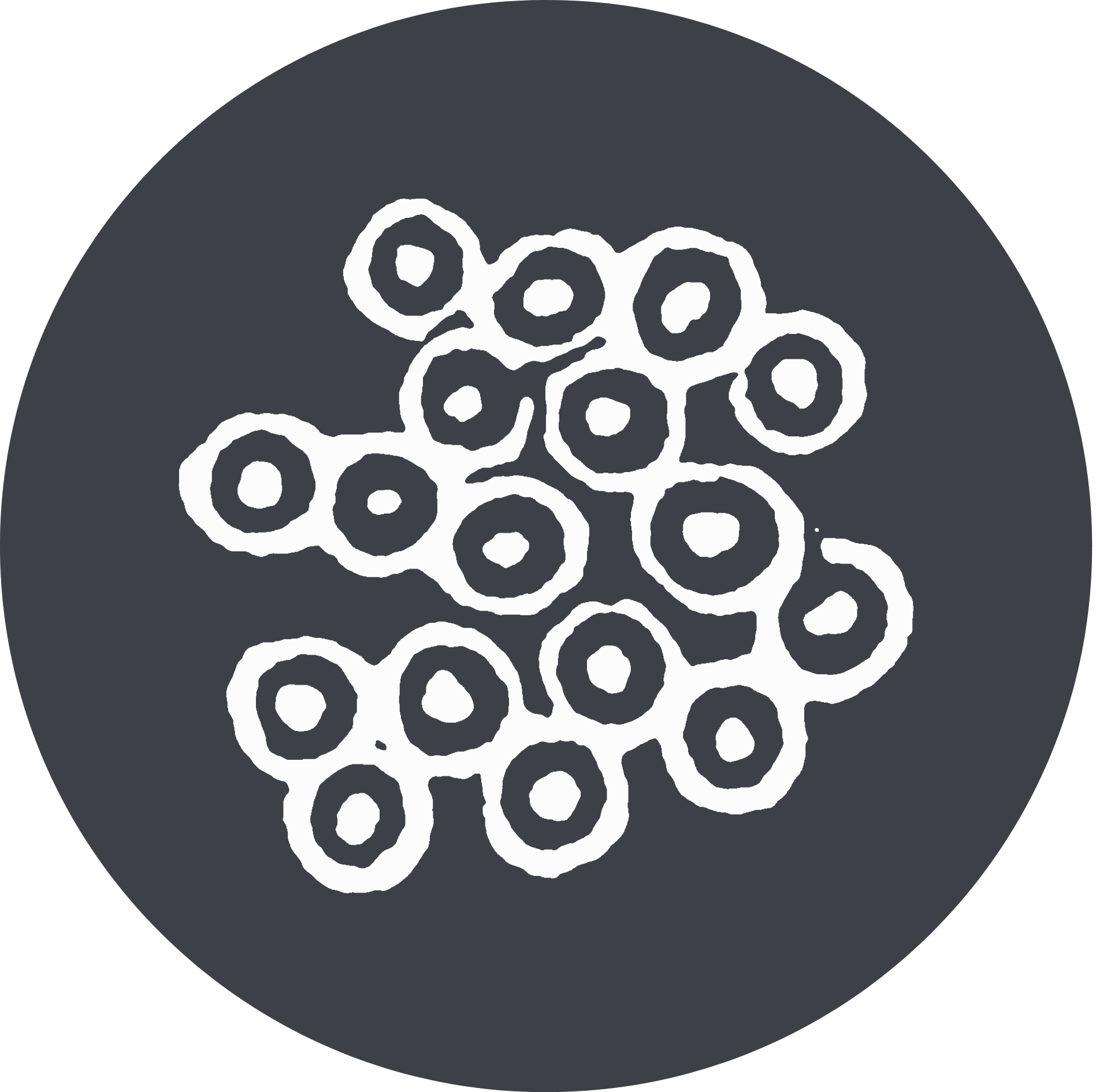 Image based particle differentiation