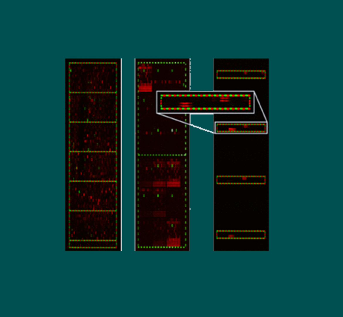 PEPperCHIP Custom Peptide Microarrays