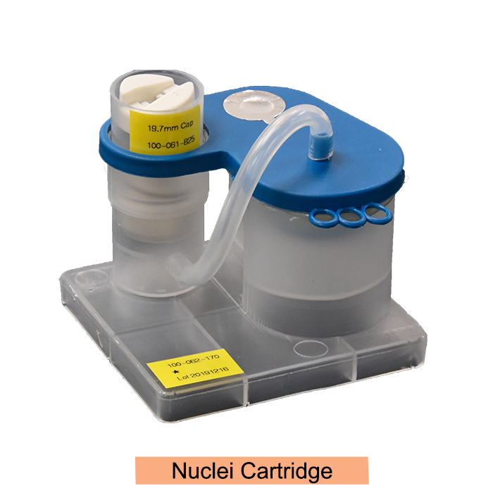 Nuclei Cartridge